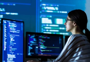 Software Development